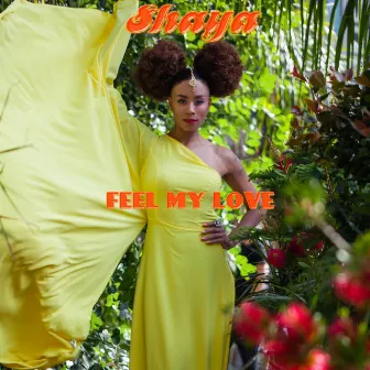 Feel My Love by Shaya