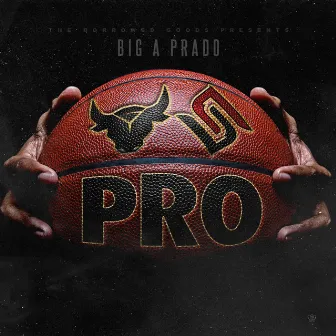 Pro by Big-A Prado