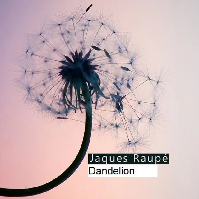 Pusteblume (Dandelion International Edition)