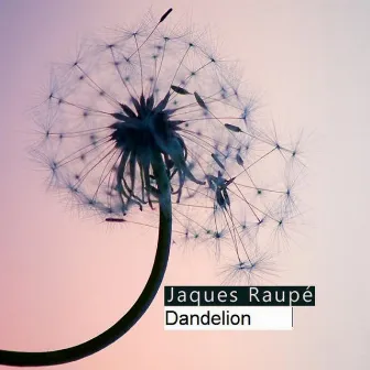 Pusteblume (Dandelion International Edition) by Jaques Raupé