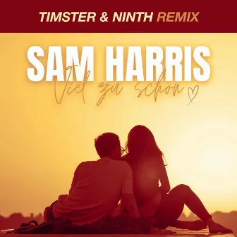 Viel Zu Schön (Timster & Ninth Remix) by Sam Harris