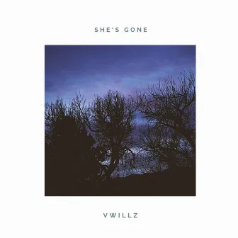 She's Gone by Vwillz