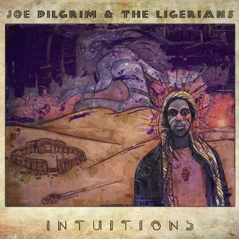 Intuitions by The Ligerians