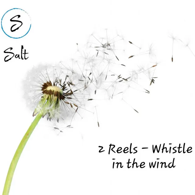 Whistle in the Wind - Zed White Mix