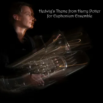 Hedwig's Theme (From Harry Potter and the Philosophers Stone) by Robbert Vos