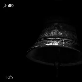 Demise by TriS