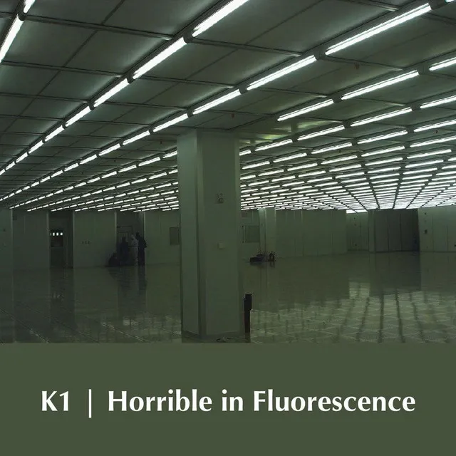 Horrible in Fluorescence