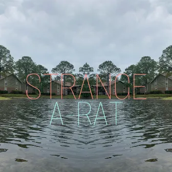 Strange by A-Rat