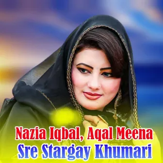 Sre Stargay Khumari by Aqal Meena