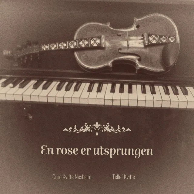 En rose er utsprungen