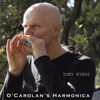 O' Carolan's Harmonica by Tony Eyers