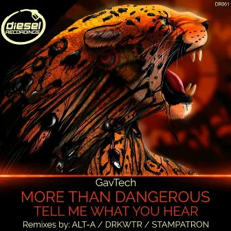 More Than Dangerous / Tell Me What You Hear by GavTech