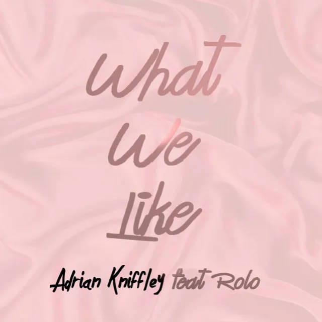 What We Like (feat. Rolo)