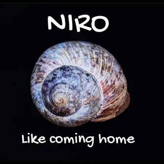 Like Coming Home by Niro