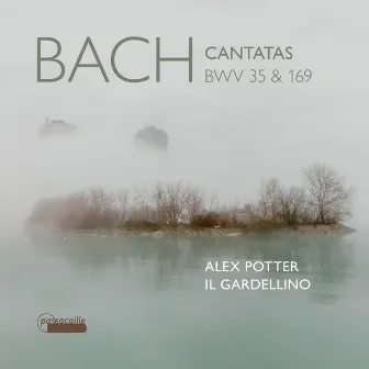 Bach: Cantatas, BWV 35 & 169 by Alex Potter