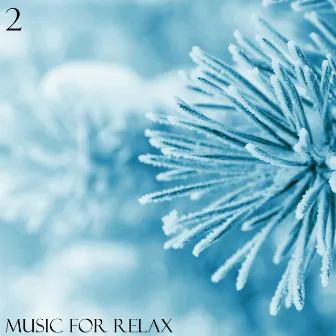 Music for Relax, Vol. 2 by Dmitriy Ruslanoff