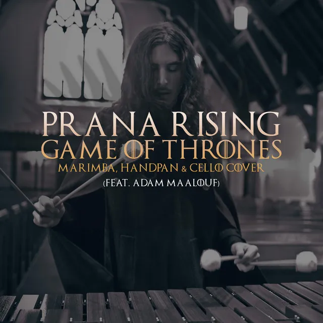 Game of Thrones Marimba, Handpan & Cello Cover