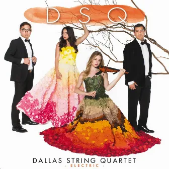 DSQ by Dallas String Quartet