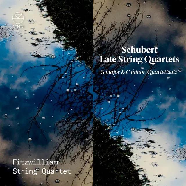 String Quartet in G Major, D. 887: III. Scherzo (Allegro vivace) - Trio (Allegretto)