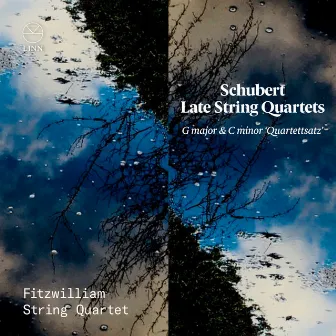 Schubert: Late String Quartets. G Major & C Minor 'Quartettsatz' by Unknown Artist