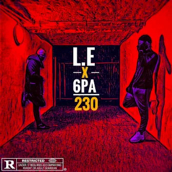 230 by L.E