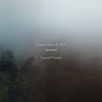 Piano Sketch 003 - Summit by Laurel Violet