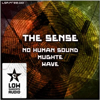 The Sense by MUGHTE