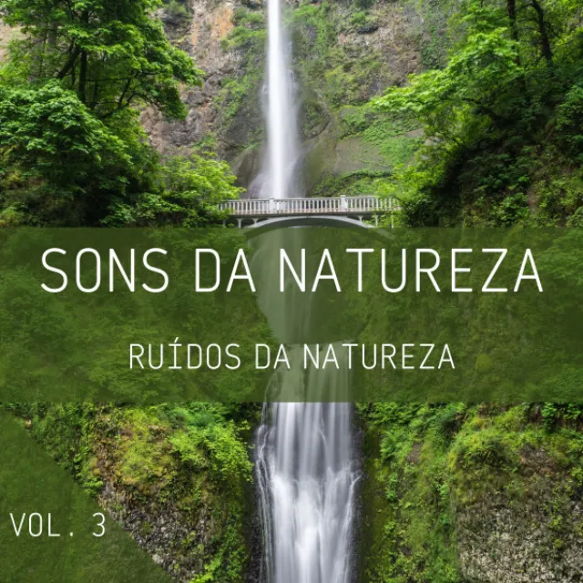 Sons Da Natureza Vol. 3, Ruídos Da Natureza