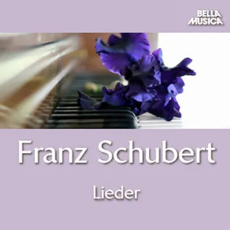 Schubert: Lieder by Tamara Takács