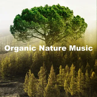 Organic Nature Music by Naturgeräusche für Entspannung und Erholung