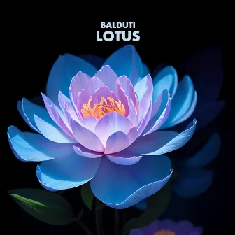 Lotus by Balduti