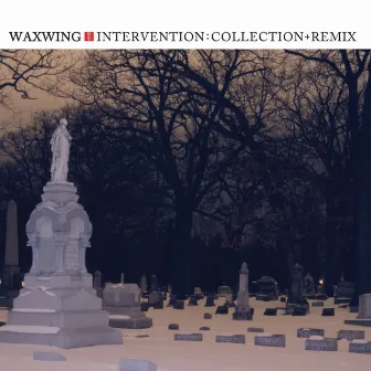 Intervention: Collection + Remix by Waxwing