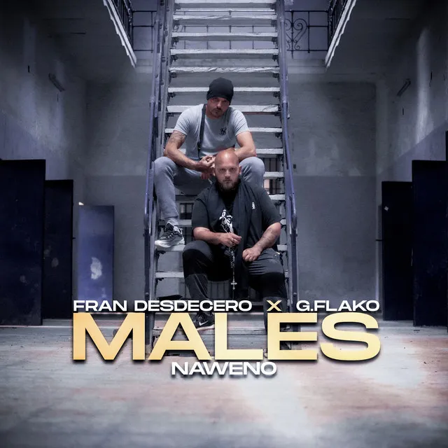 Males - Instrumental