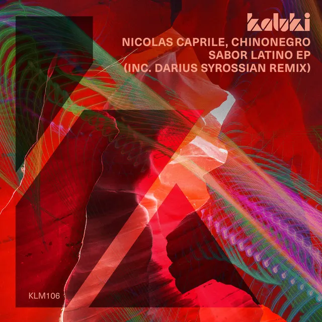 Sabor Latino - Darius Syrossian Remix