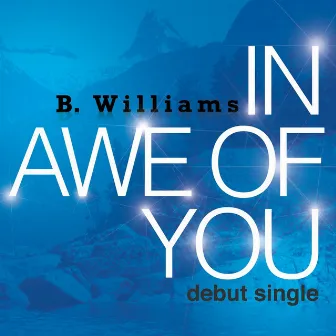 In Awe of You by B. Williams