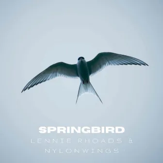 Springbird by Lennie Rhoads