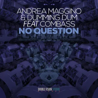 No Question by Andrea Maggino