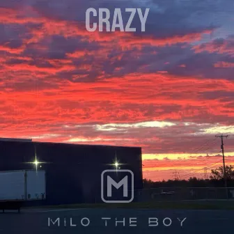 Crazy by Milo the Boy