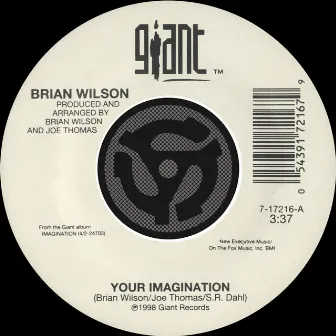 Your Imagination / Your Imagination (A Cappella) [45 Version] by Brian Wilson