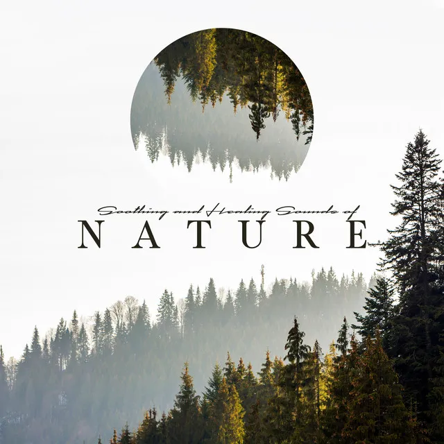 Soothing and Healing Sounds of Nature. Music for Well – Being Every Day