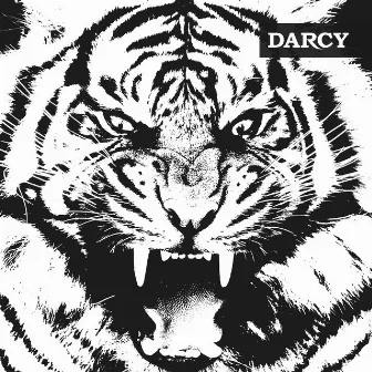 Tigre by Darcy