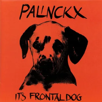 It's Frontal Dog by Palinckx