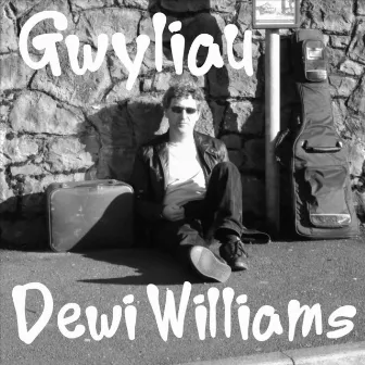 Gwyliau by Dewi Williams