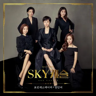 SKY Castle, Pt. 1 (Original Television Soundtrack) by Cheon Dan Bi