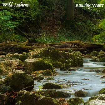 Running Water by Wild Ambience