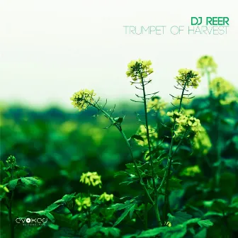 Trumpet of Harvest by DJ REER