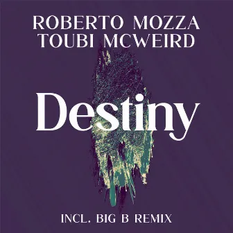 Destiny by Toubi McWeird