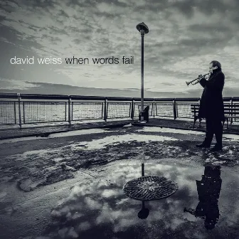 When Words Fail by David Weiss