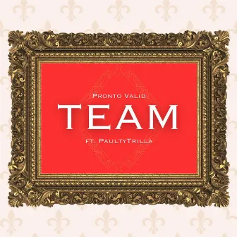 TEAM by Pronto Valid