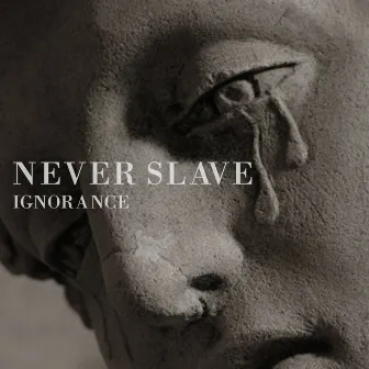 Ignorance by Never Slave